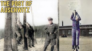 The Post Of Auschwitz - WWII's Most BRUTAL Torture Method?