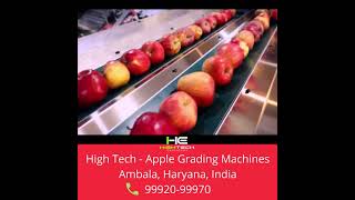 Apple Grading Machine - Hi-tech - call 99920-99970