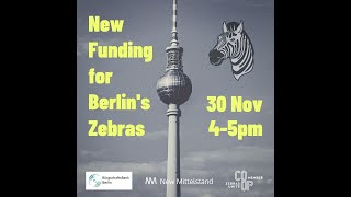 Webinar: New funding programmes for Zebra/Social Startups in Berlin