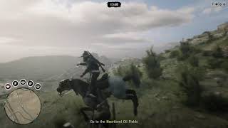 Red Dead Redemption 2_another horse wreck