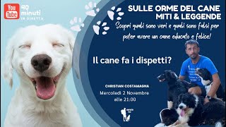 Sulle Orme del Cane - MITI E LEGGENDE: Il cane fa i dispetti?