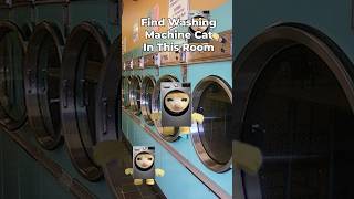 Washing Machine Cat Finding Challenge