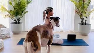 YOGA FOR STRESS RELIEF - GENTLE YOGA