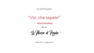 W.A.Mozart -VOI,CHE SAPETE aria Cherubino from"Le Nozze di Figaro"/ 0rchestral accompaniment