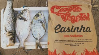 pESCA, Almoco Pesca da Treta camping LIVE Lagos camping stream FISHING SURFCASTING no Algarve