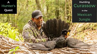 Hunting Currasow in the Jungles of Mexico