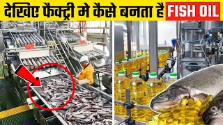 Factory में कैसे किया जाता है मछली का तेल ? How  Fish oil Is Made In Factory