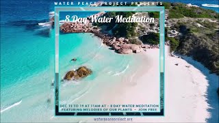 DEC 12 DAY 1 OF 8 DAY Water Meditation & Consciousness Experiment with Plant Music