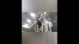 NEUTRAL GRIP PULLUPS #bodybuilding #fitness #shorts