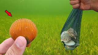 The World's GREATEST Easter Egg Hunt | Scalloping Opener 2024 | FloridaMan Fishing