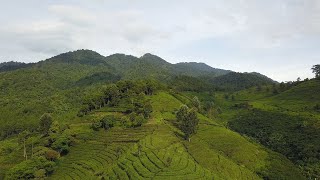 Footage Drone Cinematic Bukit Senyum Bandung Barat - Gunung Burangrang 4K (002)