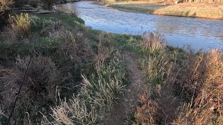 Catching Beautiful Rainbow Trout In Green River Wyoming #fishing #vlog #travel