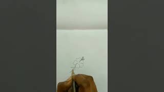 beautiful flower drawing