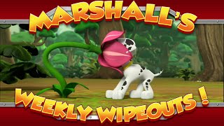 Marshall's Weekly Wipeouts! (Season 2 - Pups Jungle Trouble)