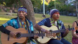 Txana Bai & Txana Metsapa / Música Huni Kuin / Sacred Music Healing & Therapy