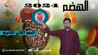 الهضم وأهميته 2024