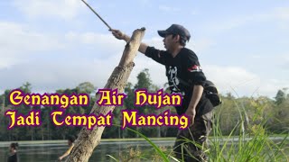 Genangan Air Hujan Yang Menjadi Danau, Jadi Area Tempat Memancing