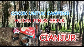 Keindahan Alam Hutan Pinus Menikmati Secangkir Kopihitam Di Pondok