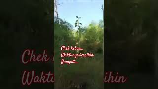 Chek kebun..., waktunya bersihin rumput