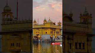 Golden Temple #shorts  #viralvideo #amritsar  #goldentemple#mandeepsinghvlogs