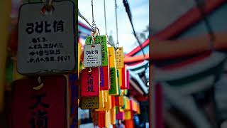 ✨ Magisches Kyoto: Fushimi Inari Fakten!