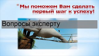 Вопросы эксперту