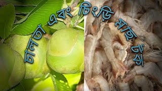 চালতা এবং চিংড়ি মাছ টক# chalta and chingi maach tak racepe.