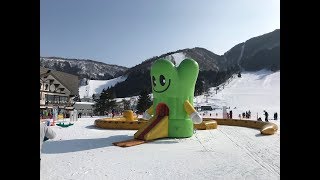 2018 Nozawa Onsen