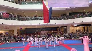 CPJ 2023 - NATIONAL TAEKWONDO POOMSAE DEMONSTRATION TEAM