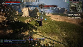 Black Desert double kill