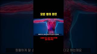 아시혈 = 모든 병의 원인