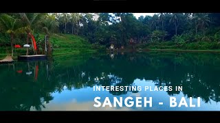 Places to Visit In and Around Sangeh Bali | Monkey Forest | Sate Bledor | Taman Mumbul