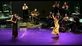 Gala Flamenco por el Alzheimer (2ªed.) en Los Palacios, Sevilla 2018