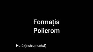 Formatia Policrom-Horă instrumental