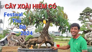 FESTIVAL THỦ ĐÔ 2024 ! HÀNG ĐỘC - LẠ ae miền trung mang đến THỦ ĐÔ .