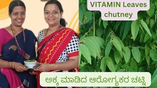 Vitamin Leaves chutney! Green chutney healthy chutney #dailyvlog #foodvlog #chutneyrecipe