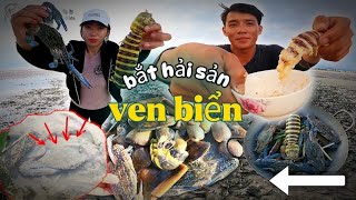 Săn bắt ven biển nhiều hải sản bị khô cạn khi thủy triều rút | hunting coastal seafood