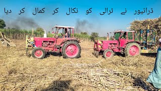 Driver of the Year || Best Tractor Stunt in Sugarcane Field || Belarus 510 vs Belarus 510 Muqabla