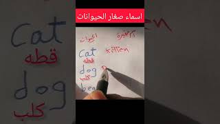 أسماء صغار الحيوانات بالانجليزى #shorts