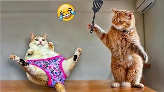 😹 Best Cats Videos 🤣 Funniest Animals 2024 😹