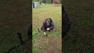 November 3, 2024 Metal detecting