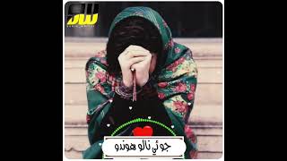 ❤Very Sad😔 Sindhi WhatsApp Status| Sad Song | New Sindhi Songs 2021| Sario Writes