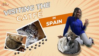 LIVING ABROAD | Visiting the CAT-fé in Spain!