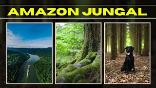 fact about amazon jangal // क्या है amazon का रहस्य 🤔 #amazonrainforest