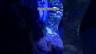 Senangnya lihat biota laut #daughter #girl #mom #family #holiday #aquarium #short #shorts