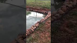 Lago para peixes - geomembranas para Lagos - tanque criação peixe #piscicultura #agronegócio #agro