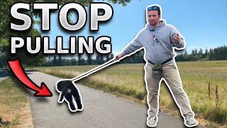 Fix Puppy Pulling: A Guide to Loose Leash Walking