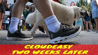 The Cloudeasy - After Two Weeks of Wear