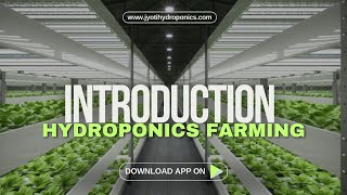 Introduction to Hydroponic farming | All about hydroponic | Learning Basic to Growing Without Soil