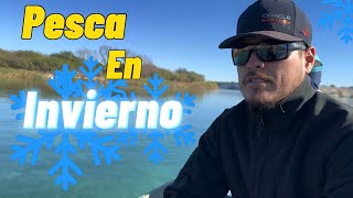 Desafiando al INVIERNO: Una Jornada de PESCA llena de Determinación y Recompensas